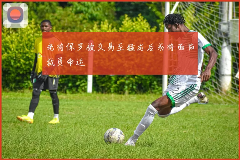 老将保罗被交易至猛龙后或将面临裁员命运