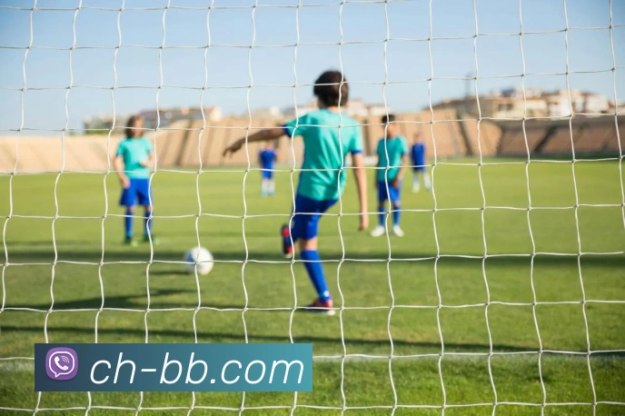 体育直播服务